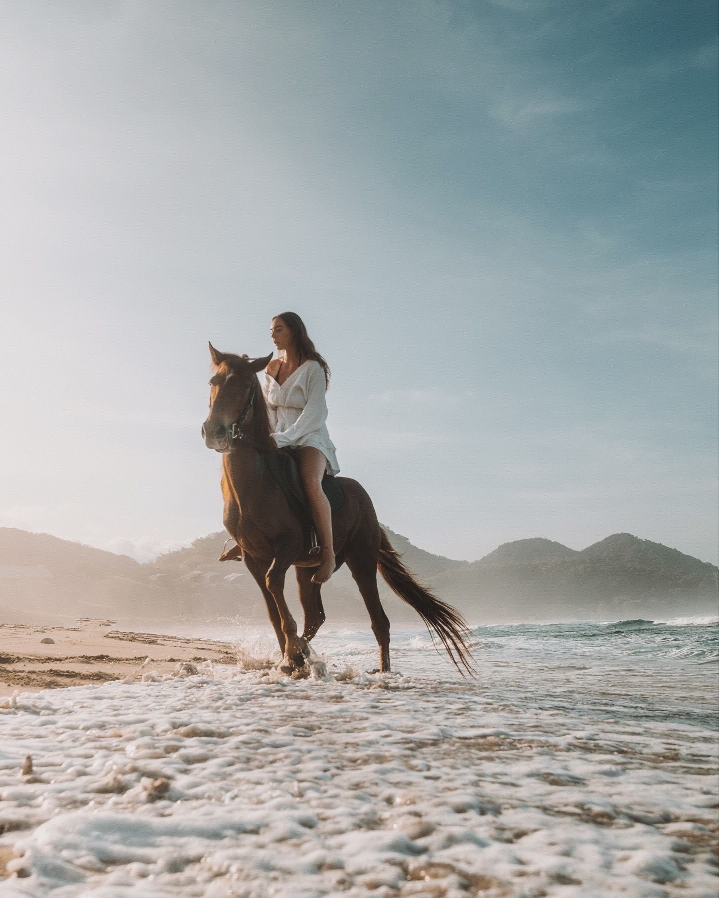 A white horse on the black sand