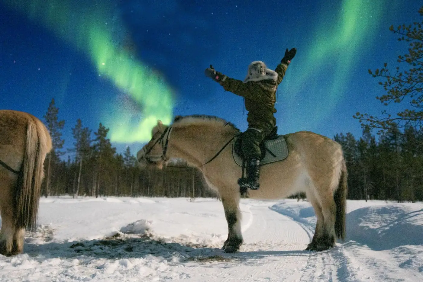 Lapland winter expedition