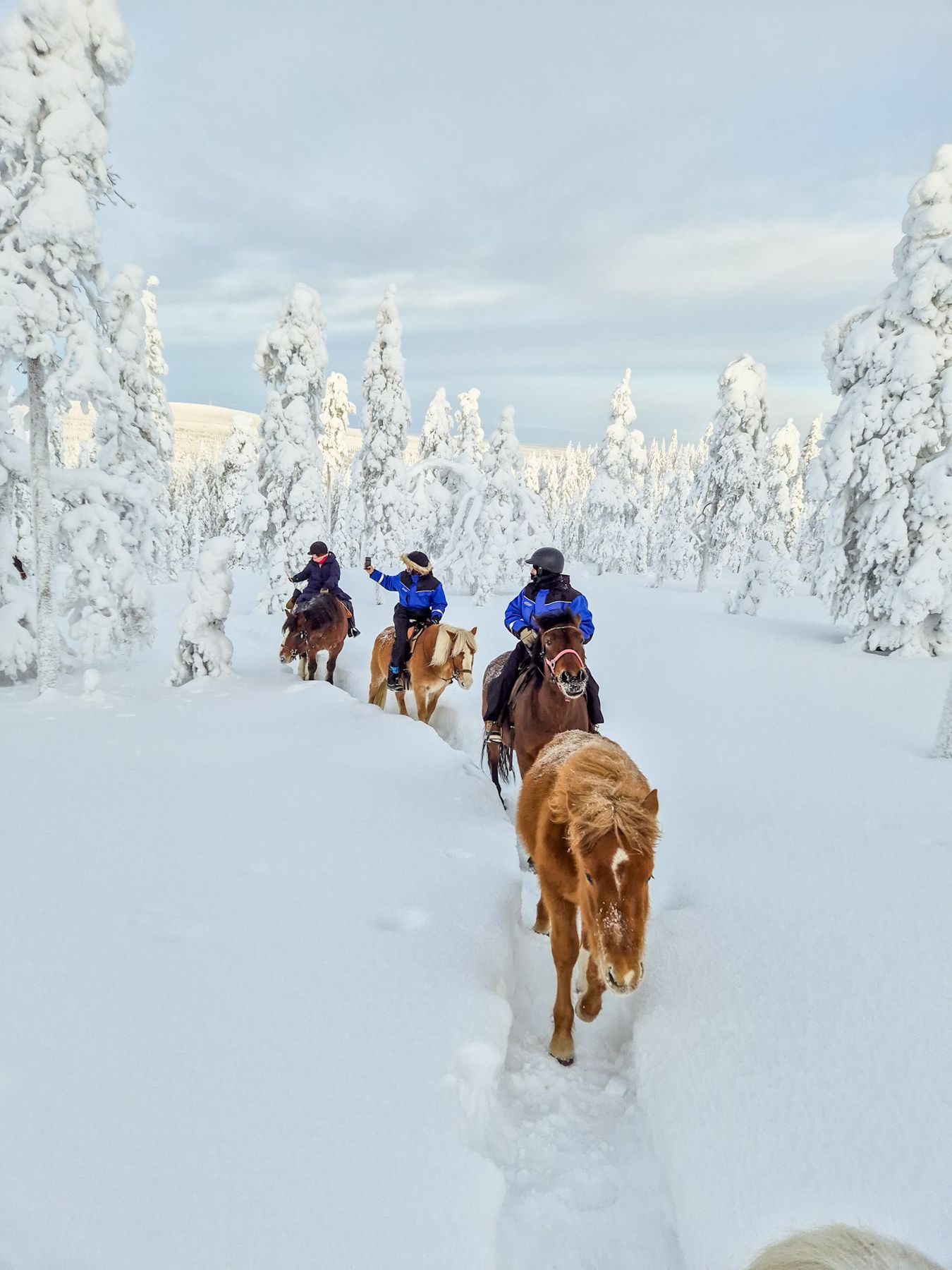 Riding through the snow forests of Lapland