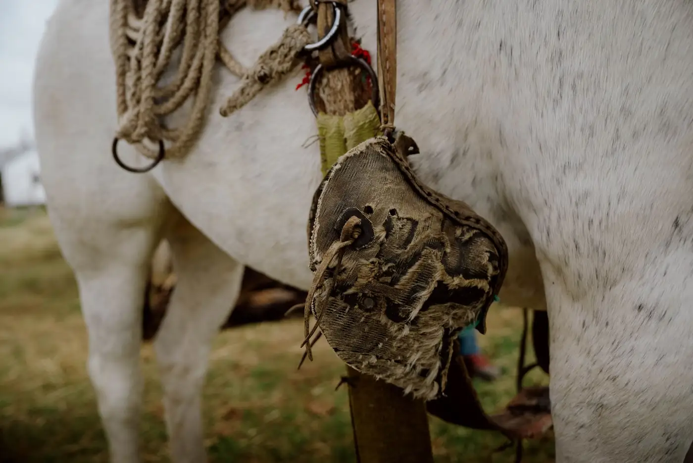 Patagonia horseback expedition