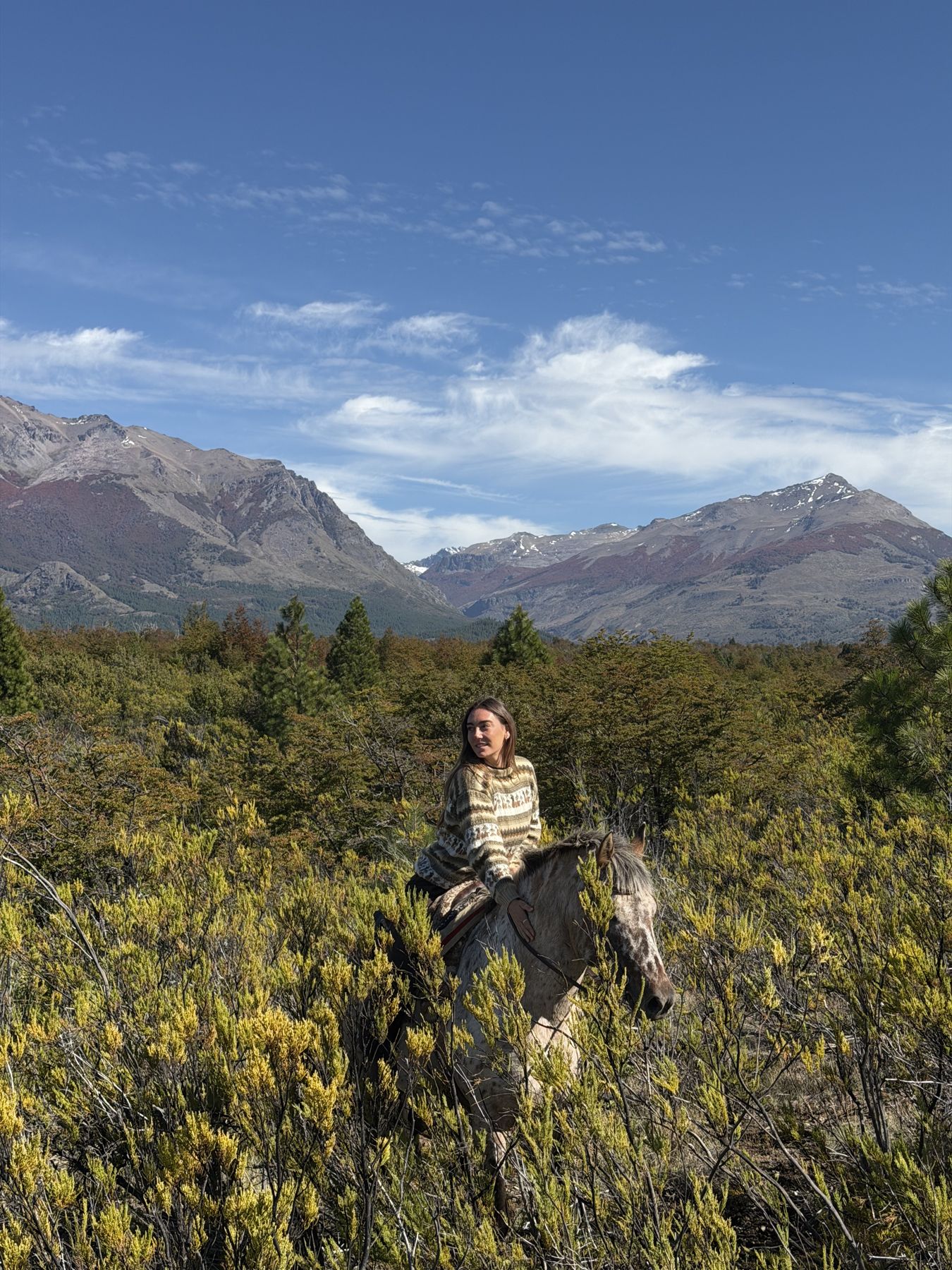 Horses in Patagonia