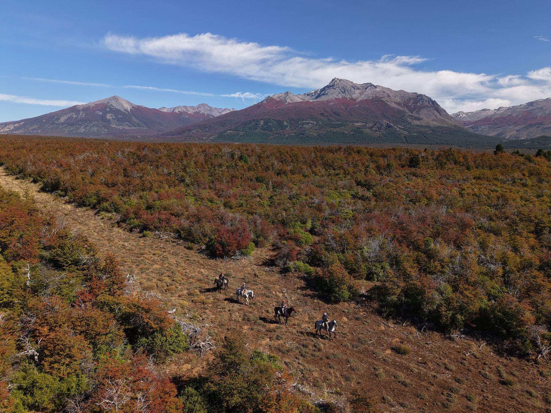 The mountains of Patagonia from above