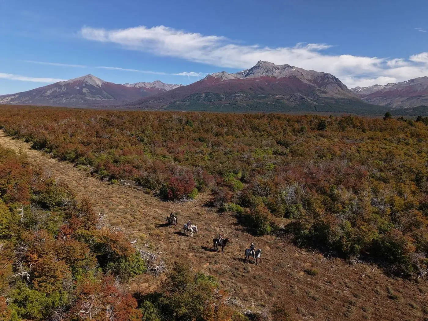 The open country of Patagonia from above